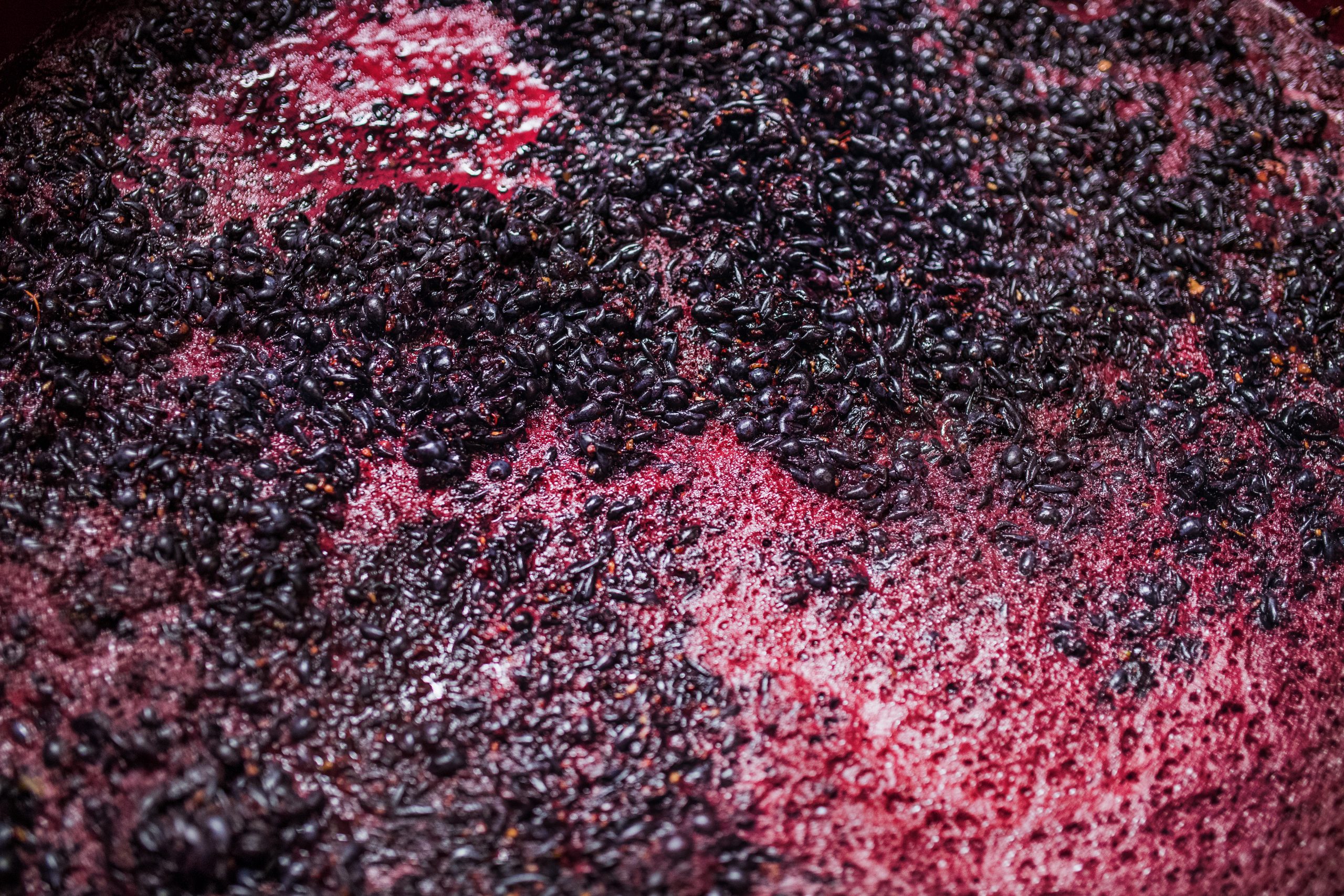 vino de rioja | fermentacion